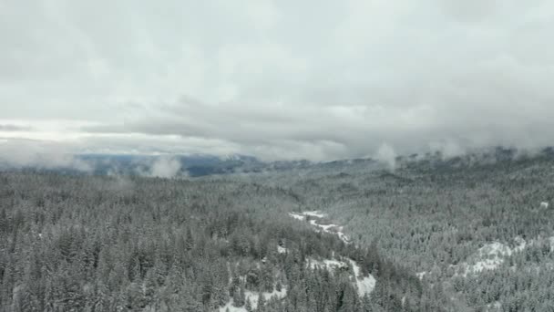 4k plano aéreo volando horizontalmente a través de un valle rodeado de árboles nevados — Vídeo de stock