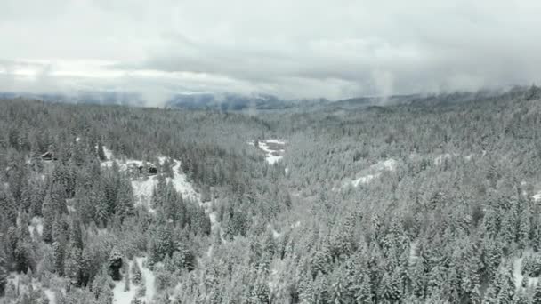 Vista aérea de 4k que vuela a través del valle nevado rodeado de árboles en un día nublado — Vídeo de stock