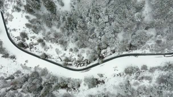 Disparo aéreo de 4k volando a través de un canal de riego en la nieve en el bosque — Vídeo de stock