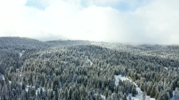 4k Widok z lotu ptaka w kierunku wzgórza saneczkowego otoczony Snowy Forest — Wideo stockowe