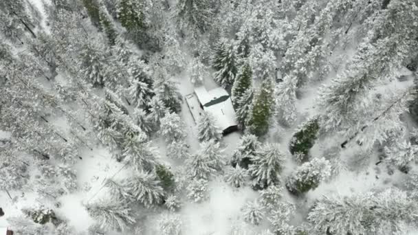 Video largo aéreo de 4k que rodea una cabaña rodeada de árboles nevados — Vídeo de stock