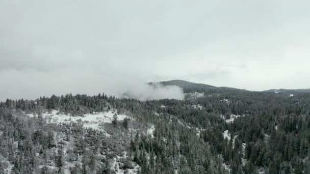 4k antenn High View flyger över trädtäckta kullar mot ett snöigt berg — Stockvideo