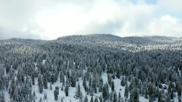 Vista panorâmica aérea de 4k sobrevoando a floresta nevada em direção a montanhas majestosas — Vídeo de Stock