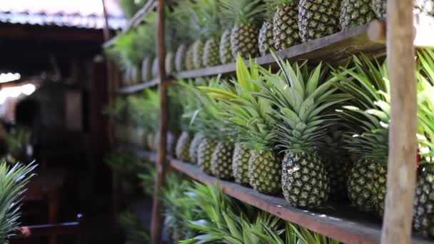 Video Watching Rows of a Bunch of Pineapples on a Shelf in a Mexican Restaurant — Stock Video