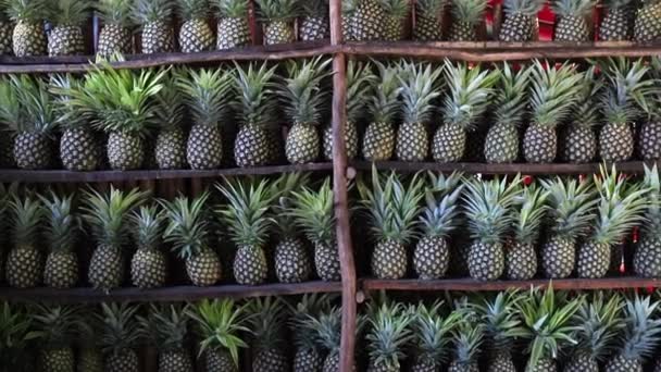 Video di Donna che mette un ananas lontano su uno scaffale pieno di ananas in Messico — Video Stock