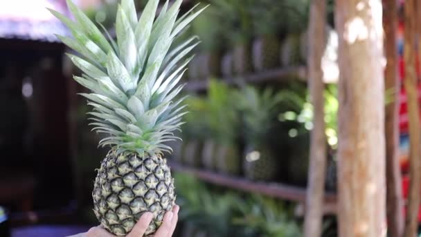 Film Trzymając ananasa z półką pełną ananasów jako tło — Wideo stockowe