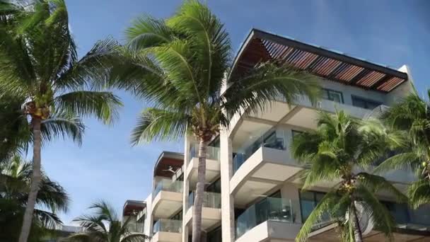Shot κυκλώνοντας γύρω από Palm Tree με θέα το θέρετρο στο Μεξικό σε μια ηλιόλουστη μέρα — Αρχείο Βίντεο