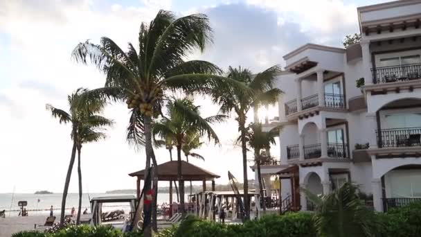 Ver Moverse por el hermoso hotel frente a la playa con palmeras saludando al atardecer — Vídeo de stock