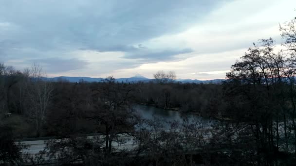 4k luchtfoto uitzicht vliegen over donkere bomen met prachtige bergen op de achtergrond — Stockvideo