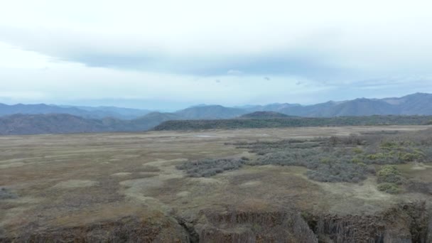 4k Vue Aérienne Volant à L'arrière D'une Montagne Plate Et D'une Forêt En Oregon — Video