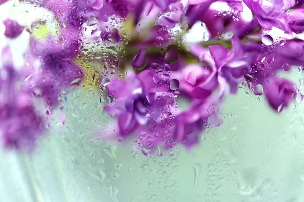 Gotas Água Caem Sobre Vidro Flores Lilás Vaso Com Água — Fotografia de Stock