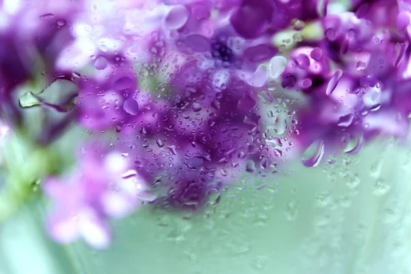 Waterdruppels Het Glas Lila Bloemen Een Vaas Met Water Abstracte — Stockfoto