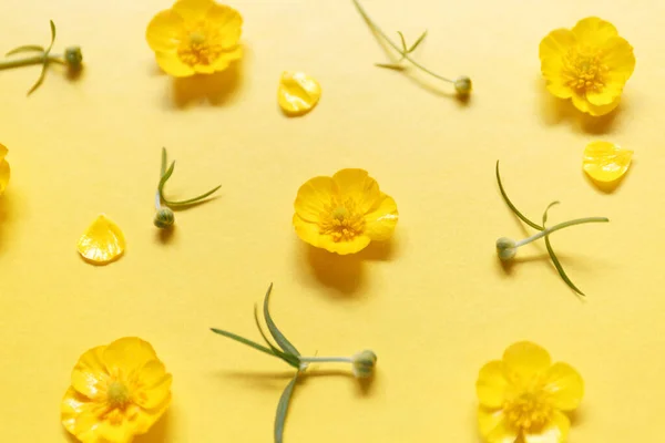 나비는 노란색 배경에 피운다 꽃무늬 장식적 클로즈업 — 스톡 사진