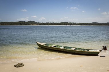 Carneiros beach in Porto de Galinhas, Recife, Pernambuco - Brazi