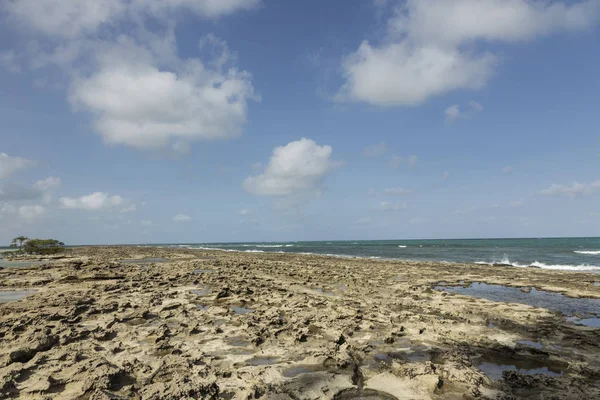 Carneiros beach in Porto de Galinhas, Recife, Pernambuco - Brazi — Stock Photo, Image