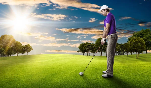 Golf Player in a purple shirt — Stock Photo, Image