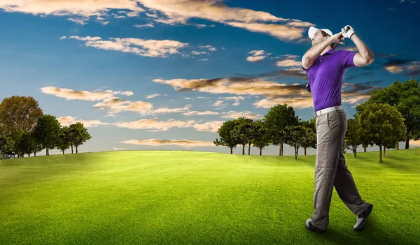 Golf oyuncu mor bir gömlek