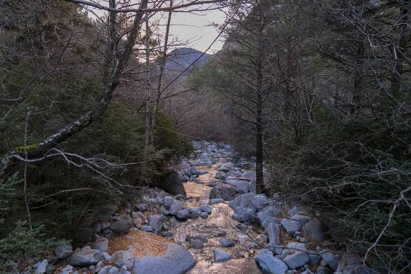 Gün batımında Sant Nicolau nehri, Aiguestortes Ulusal Parkı ve Sant Maurici Gölü. — Stok fotoğraf