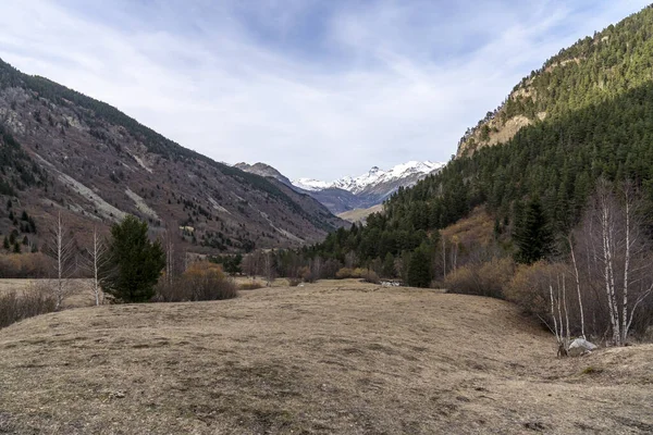 Berg Mit Gelben Bäumen Herbst Nationalpark Von Aiguestortes Und Estany — Stockfoto