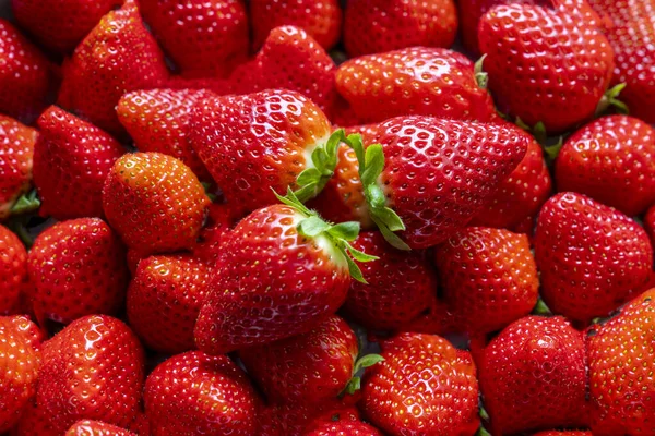 Ein Paar Frische Erdbeeren Mit Vier Oben Drauf — Stockfoto