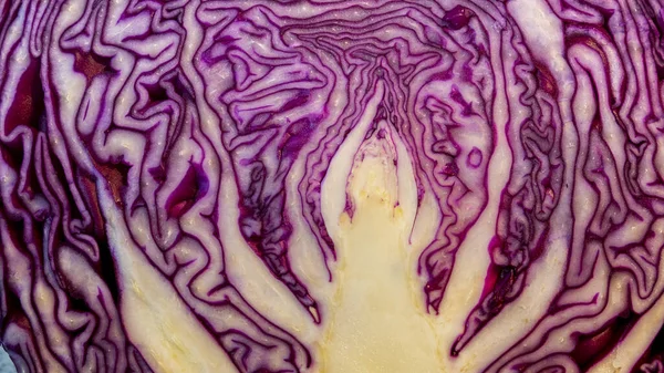 Texture of the interior of a red cabbage.