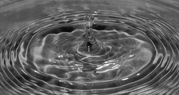 Drop Water Falling Creating Ripples — Stock Photo, Image