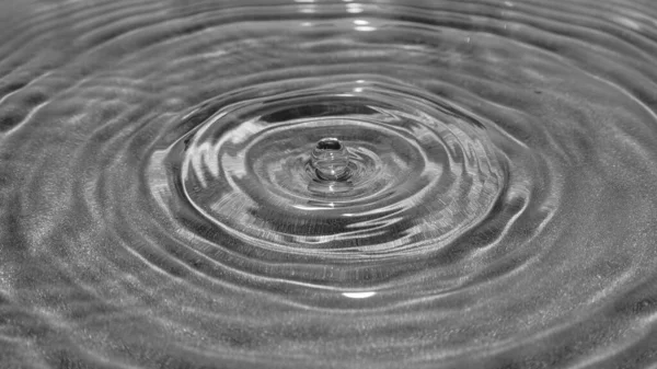 Drop Water Falling Creating Ripples — Stock Photo, Image