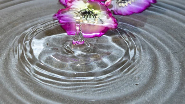 Druppel Water Dat Valt Rimpels Creëert Met Een Bloem Aan — Stockfoto