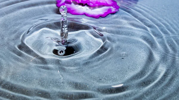 Drop Water Falling Creating Ripples Flower Bottom Water — Stock Photo, Image