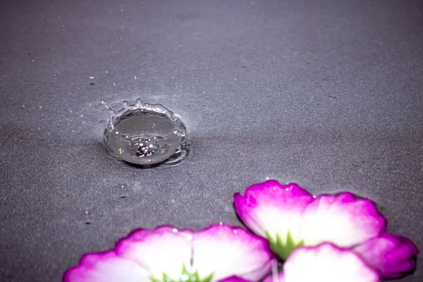Drop Water Falling Creating Ripples Flower Bottom Water — Stock Photo, Image