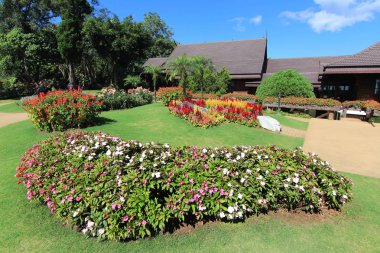 Beaytiful Çiçek Bahçe