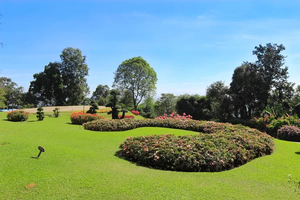 Jardín de macizos de flores Beaytiful — Foto de Stock