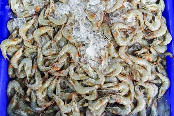 Fresh shrimp in the seafood market — Stock Photo, Image
