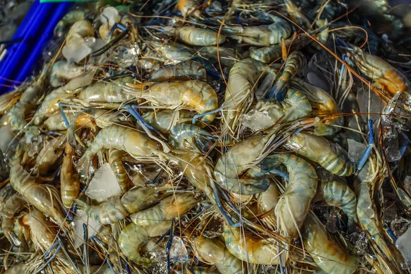 Гигантские пресноводные креветки на местном рынке — стоковое фото