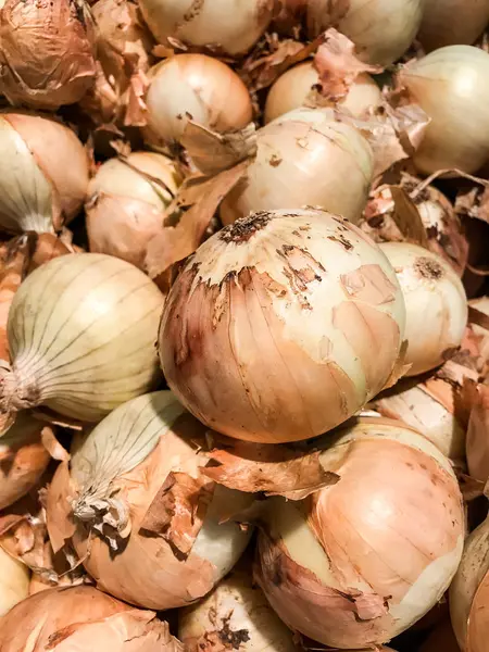 Montón cerrado de cebollas en el mercado —  Fotos de Stock