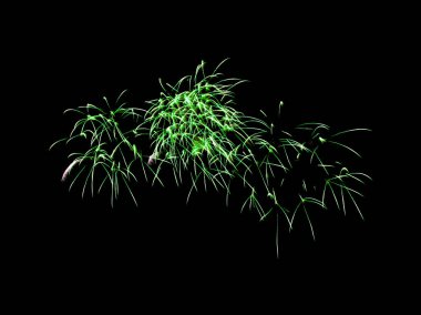 Sahne göz kamaştırıcı gökyüzünde havai fişek yak.