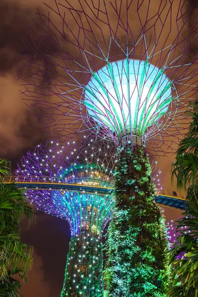 Jardines junto a la Bahía Super árbol arboleda espectáculo de luces — Foto de Stock