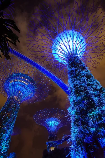 Gärten durch den Lorbeer super tree grove light show — Stockfoto