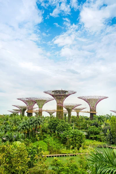 Gartenlandschaft an der Bucht, Superbaumhain in Singapore. — Stockfoto