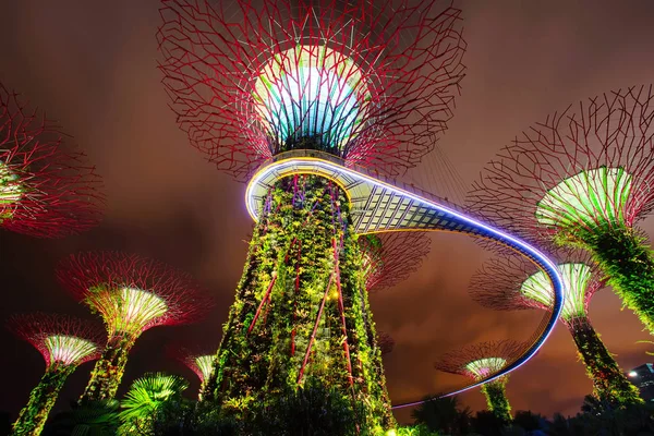 Сады у залива Super дерево роща световое шоу — стоковое фото