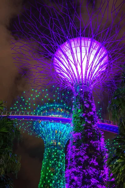 Сады у залива Super дерево роща световое шоу — стоковое фото
