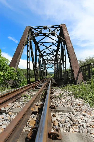สะพานรถไฟผ่านฉากธรรมชาติ — ภาพถ่ายสต็อก