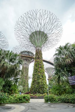Defne, Supertree grove Singapur bahçelerle.