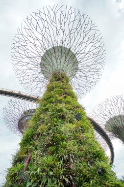 Defne, Supertree grove Singapur bahçelerle.