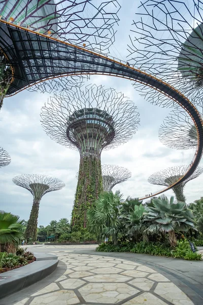 Gärten an der Bucht, Superbaumhain in Singapore. — Stockfoto