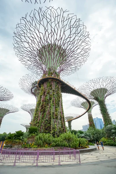 정원 싱가포르에서 베이, Supertree 숲으로. — 스톡 사진