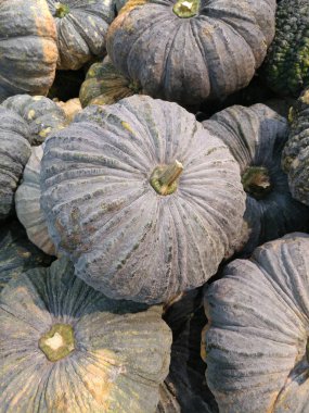 Taze kabak içinde belgili tanımlık çarşı kapalı