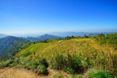 Phu Chee SK, Chiang Rai Tayland peyzaj