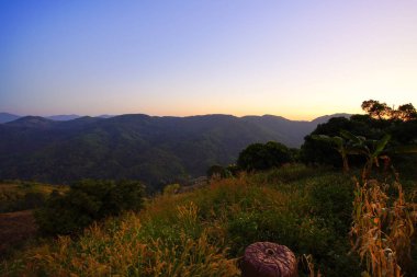 Doğa görünümü dağ, orman ve mavi gökyüzü