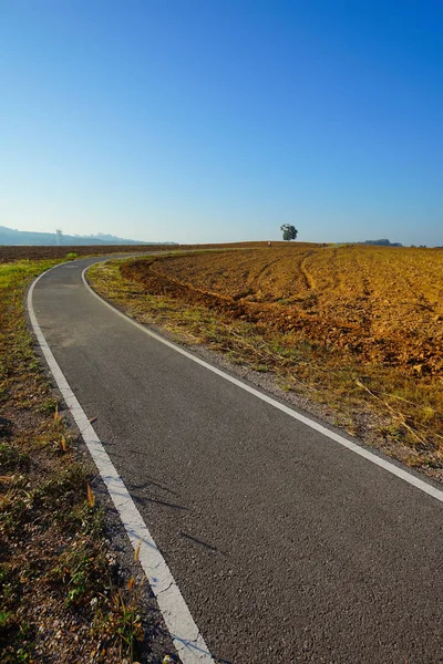 Little road to the farm — Stock Photo, Image